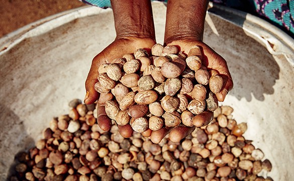 Ingredients_-_About_Our_Ingredients_-_What_types_of_ingredients_do_we_use_1