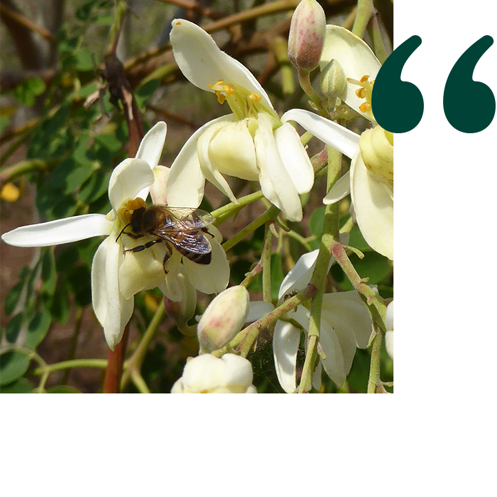 007-2022-Q4-XMAS-XMAS-ECO-200pc-DESKTOP